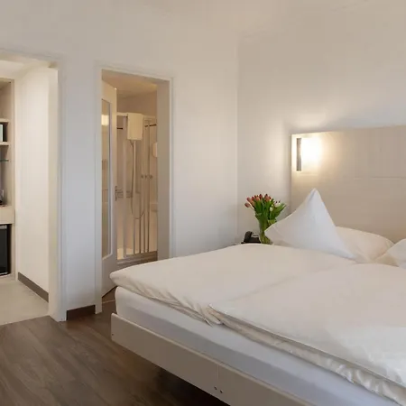 托布勒酒店 4* 阿斯科纳