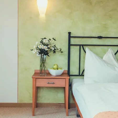 托布勒酒店 阿斯科纳